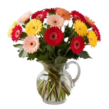 Gerberas Coloridas